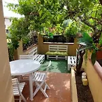 Wildberries אולביה